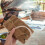3 Sets Travel Spice Containers Kit Camping Seasoning Storage 4