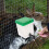 4Pcs Automatic Rabbit Water Fountain And Feeder For Hamster Bunny 5