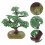 4 Banyan Sandtisch Aquarium Landschaftsbaum 11