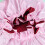 Bonnet De Nuit Satin Élastique Rose Enfants Confortable Dormir 11