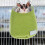 Sugar Gliders Cage Sleeping Pouch Hammock For Hamster Accessories 4