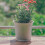 20Pcs Flower Pot Mesh Pad And Drainage Grid For 3