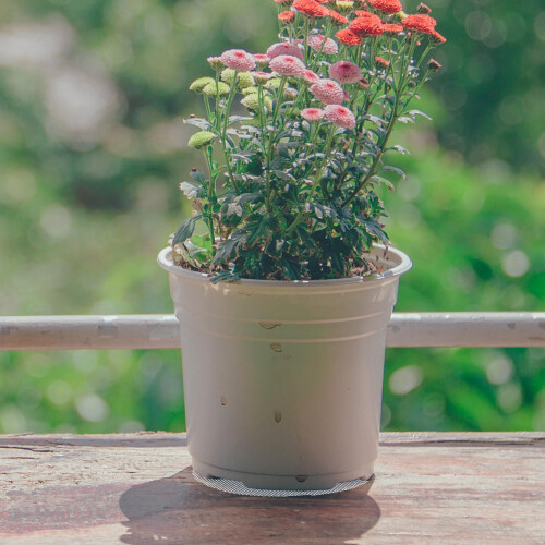 20Pcs Flower Pot Mesh Pad And Drainage Grid For 2