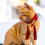Bow Tie Design Cat Collar Decorative Pet Decor Accessory 11