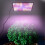 3 Sets Led Hanging Grow Lights Full Spectrum Dimmable Plug 11