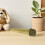 4 Pcs Fake Microphone Plastic Handheld Mic Prop For Singing Parties 11