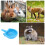 5Pcs Mink Automatic Drinking Container Water Bowl For Pets Blue 9