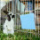 Bunny Cooling Pouch With Reusable Ice Pack For Small Pets Sky-Blue 7