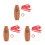 3Pcs Kazoo Instrument Easy To Learn Performance Supply 11