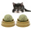 2Pièces À Mâcher Cataire, Pour Bucaux 8