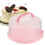 1 Set Kuchenunterlage Mit Verpackung Pad (Sortierte ) 5