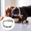 Halsband Verstellbar Mit Leine 4