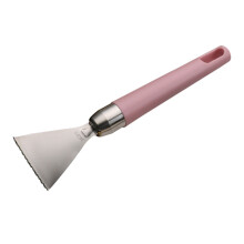 Grattoir Écaille En Acier Inoxydable Usage Rose