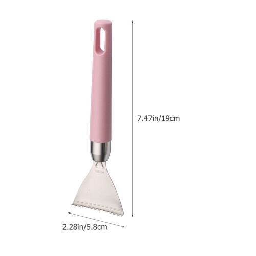 Grattoir Écaille En Acier Inoxydable Usage Rose 1