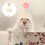 3Pcs Knitted Hat For Small Pets Hamster Snake Decorative 11