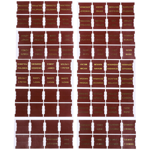50 Sheets Bible Index Tabs Bible Study Stickers 1