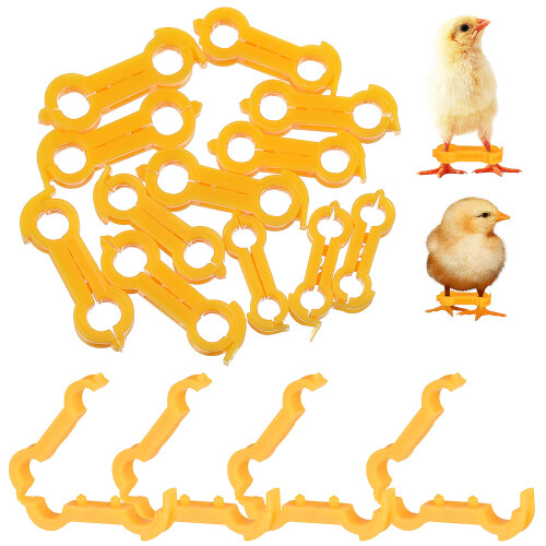36 Pcs Chick Leg Stabilizer Splay Correction Band For Newborn Chickens 2