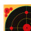 10PCS Bright Fluorescent Archery Targets Self-Adhesive for Easy Setup 11