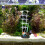 2 Pcs Simulated Aquatic Plants For Fish Tank Decor 11