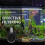 2Stk Aquariumfilter Für Fischtank Mit 4