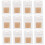 12Stk Cupcake Boxen Muffin Verpackung Mit 2