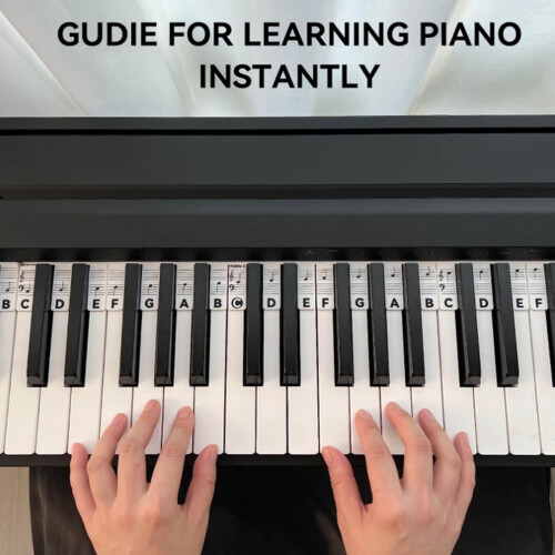 Removable Silicone Piano Keyboard Sticker Label for 61 Keys 2