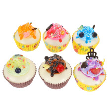 1 Set Van 6 Realistische Cakevormen Voor Dessert Decoratie