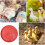 2Stk. Futterplatten Futtermatte Geflügelfutterschale Rot 11