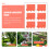 6 Unidades Valla Plástico Césped Panel Decorativo 5