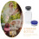 60 Pcs Glass Vials 3ml With Caps For Liquid Sample And Powder Storage 6
