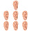 7 Pcs Human Ear Acupuncture Ear (Chocolate) 9
