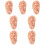 7 Pcs Human Ear Acupuncture Ear (Chocolate) 7
