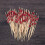Fruit Picks Cocktail Picks Bamboo 200 Pcs Red 5