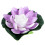 Flottante Lotus Pour Violet 17 Cm 8