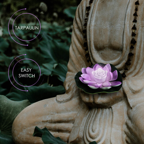 Flottante Lotus Pour Violet 17 Cm 2