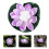 Flottante Lotus Pour Violet 17 Cm 7