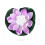Flottante Lotus Pour Violet 17 Cm 2