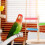 Bird Training Stand Portable Tabletop Perch For Small Parrots 5