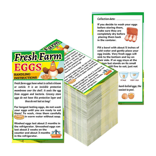 750 Pcs Farm Fresh Egg For Chicken Egg Handling