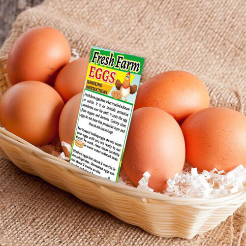 750 Pcs Farm Fresh Egg For Chicken Egg Handling 2