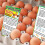 750 Pcs Farm Fresh Egg For Chicken Egg Handling 5