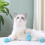 4Pcs Cat Anti-Scratch Non-Skid Paw Covers Blue 11