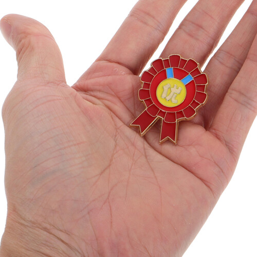 3Stk Kindergarten Abschluss Abzeichen Brosche Pin 2