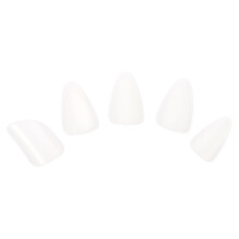 35 Pcs Professional Nylon Pipa Nails String Instrument Accessories
