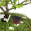 5Stk Simulierter Garten Deko Ornament 4