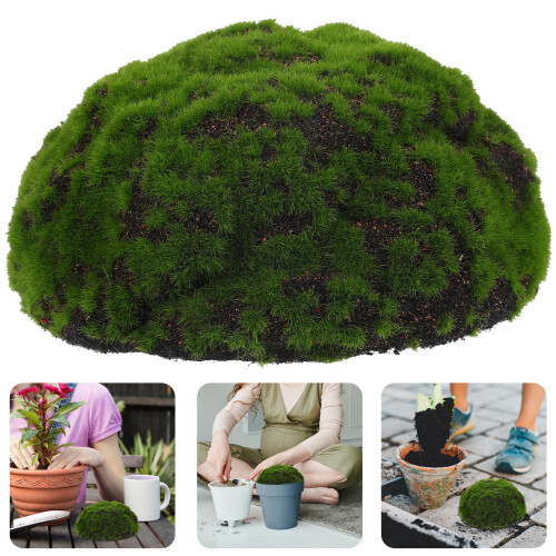 Bola De Artificial Para Bonsai Decoração Pendurada 2
