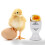1Pc Retro Ceramic Egg Cup For Stewed Eggs 5