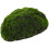Simulato Per Bonsai Matrimonio 9