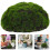 Simulato Per Bonsai Matrimonio 3