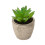 9 Plantas Suculentas Simuladas De Para Decoração 3